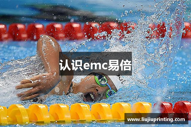 认识emc易倍